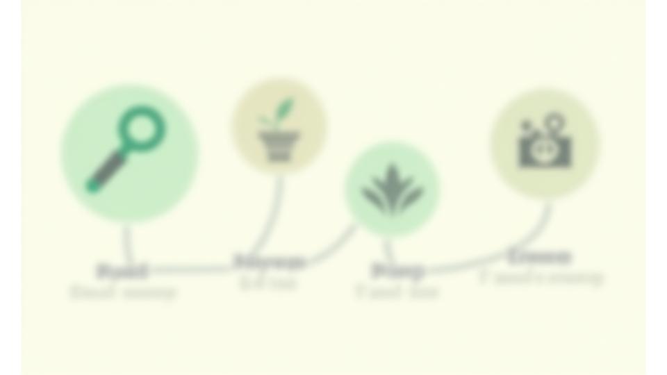 Infographic showing the four-step process of AetherGreenosol Pulse's lifestyle upgrade methodology